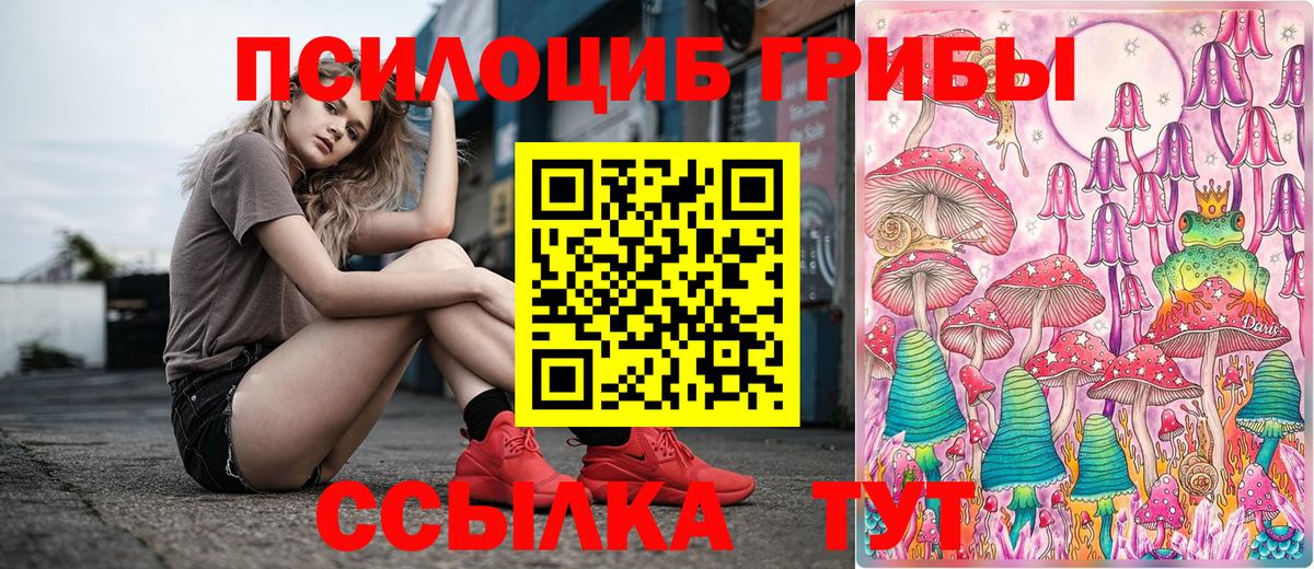 Псилоцибиновые грибы мицелий Норильск