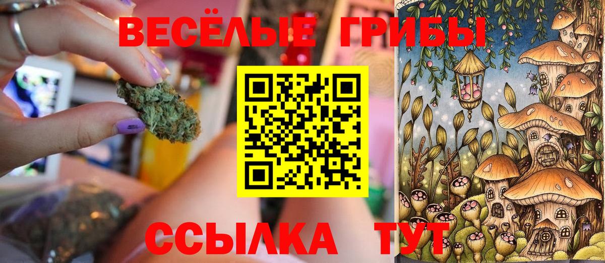 Галлюциногенные грибы мицелий  Вход с VPN  Норильск 